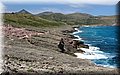 IMG_8105.JPG