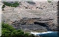 IMG_8118.JPG