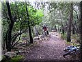 IMG_8243.JPG