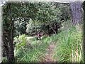 IMG_8527.JPG