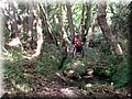 DSCF1075.JPG