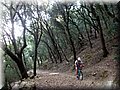 DSCF2095.JPG