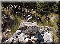 P9171854.JPG