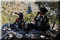 P9171861.JPG