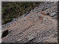 PA224100.JPG