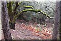 PC046603.JPG