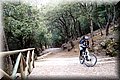PC247904.JPG