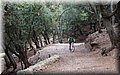 PC247910.JPG