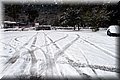 P2040241.JPG
