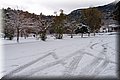 P2040242.JPG
