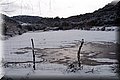 P2040244.JPG