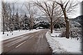 P2040245.JPG