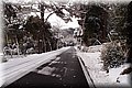 P2040248.JPG