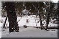 P2040250.JPG