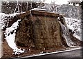 P2040266.JPG