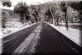 P2040272.JPG
