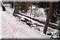 P2040277.JPG