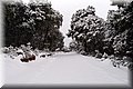 P2040278.JPG