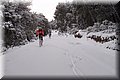 P2040284.JPG