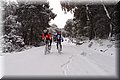 P2040291.JPG