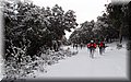 P2040298.JPG