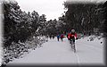 P2040299.JPG
