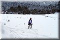 P2040313.JPG