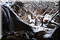 P2040343.JPG