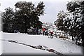P2040355.JPG
