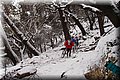 P2040357.JPG