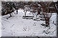 P2040382.JPG