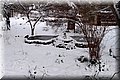P2040383.JPG