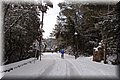 P2040397.JPG