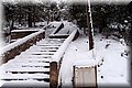 P2040405.JPG