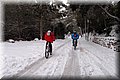 P2040407.JPG