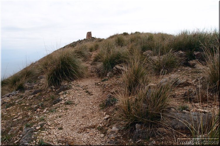 P2180563.JPG