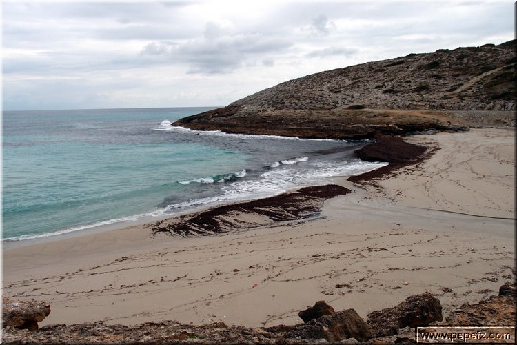 P2180616.JPG