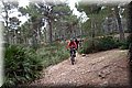 P2180539.JPG