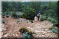 P2180540.JPG