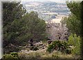 P2180547.JPG