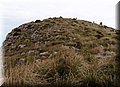 P2180556.JPG
