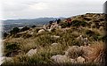 P2180557.JPG
