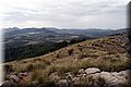 P2180561.JPG