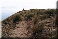 P2180563.JPG