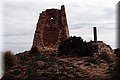 P2180573.JPG