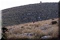 P2180589.JPG