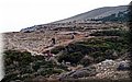 P2180590.JPG