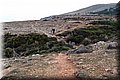 P2180591.JPG