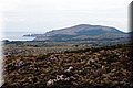 P2180650.JPG