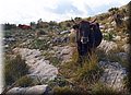 P2180653.JPG